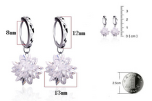 Load image into Gallery viewer, Hypoallergenic Frosted Star Earrings