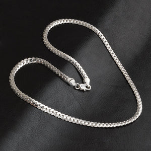 Snake Bone Silver Bracelet and Necklace